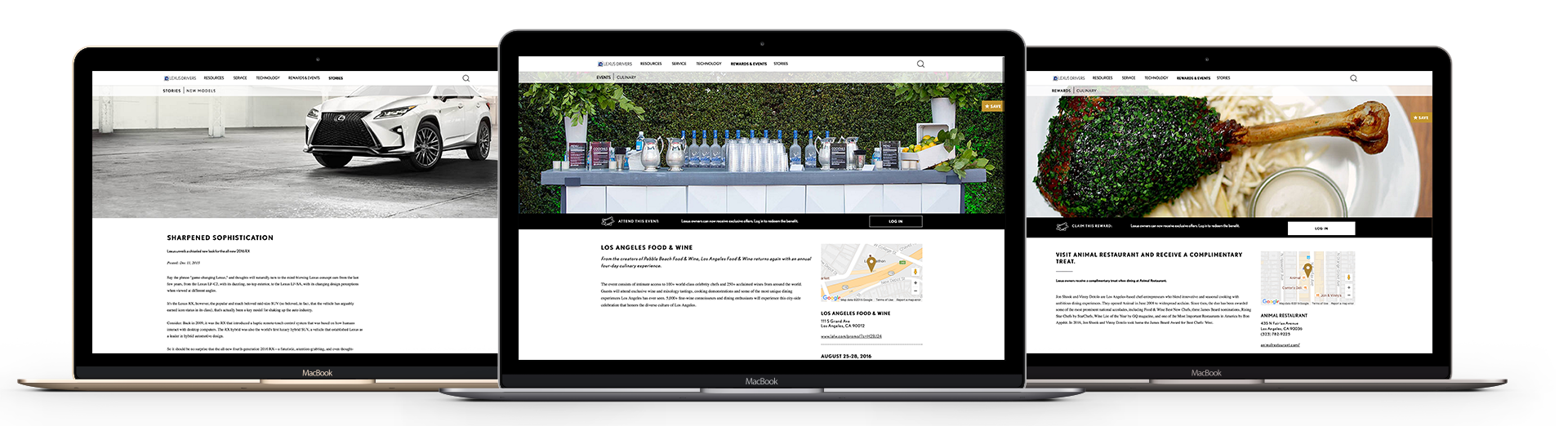 Premium Benefits and Content (Copy)